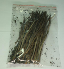 植物类1.png